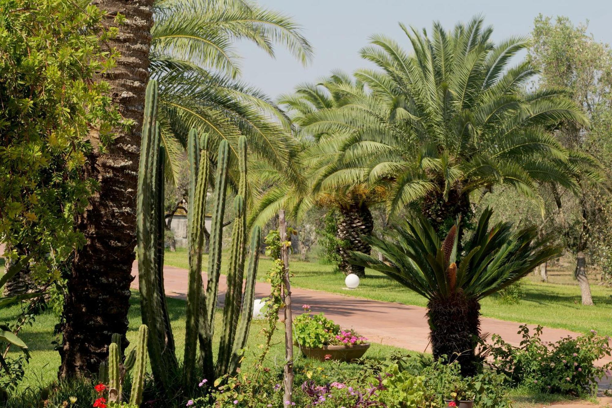 Tenuta Ricco Cursi Esterno foto