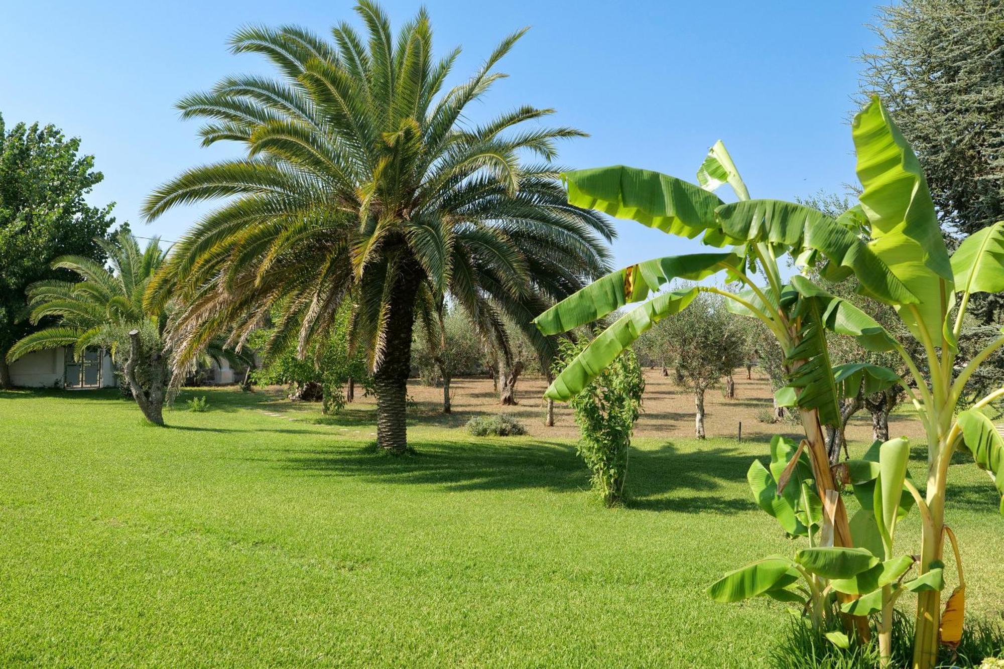 Tenuta Ricco Cursi Esterno foto